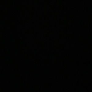 Meet your Posher, Lauryn