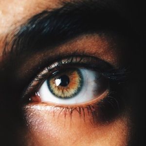 Meet your Posher, Jodi