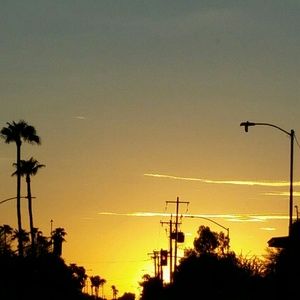 Meet your Posher, Lizzy