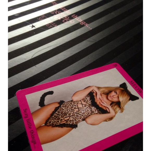 Sexy Little Things VS Kitty Costume