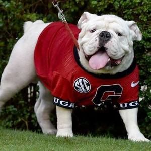 Meet your Posher, Seth