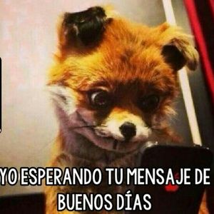 Meet your Posher, Cesar