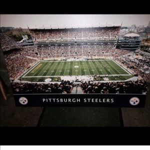 Steelers canvas !