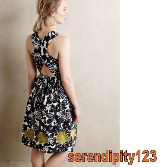 Anthropologie HANA EMBROIDERED DRESS – Sz 0 - NEW! - Picture 3 of 4