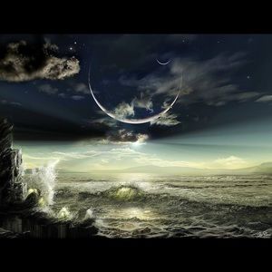 Meet your Posher, Rodney