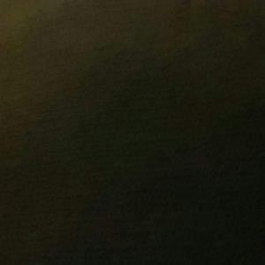 Meet your Posher, Aida