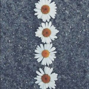 Meet your Posher, Bradie