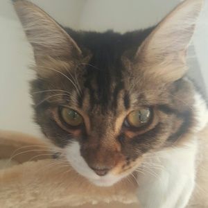 Meet your Posher, Bianca