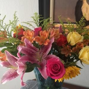 Meet your Posher, Barbara