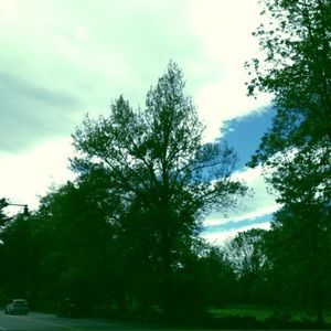 Meet your Posher, Jillian