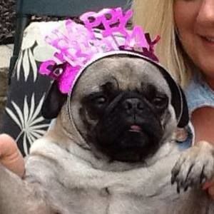 Meet your Posher, Tammy