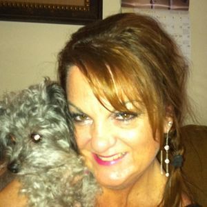 Meet your Posher, Kris