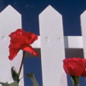 Meet your Posher, Alexia