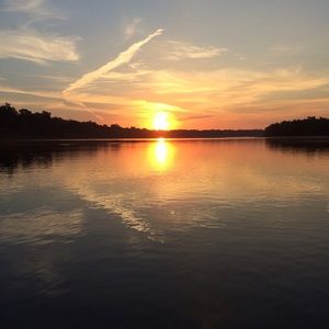 Meet your Posher, Glenda