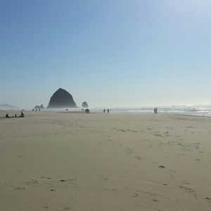 Meet your Posher, Shelbi