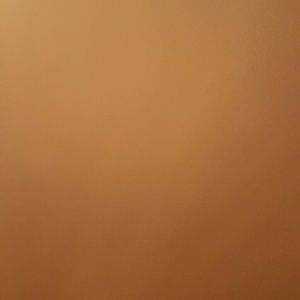 Meet your Posher, Annie