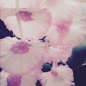 Meet your Posher, Sav