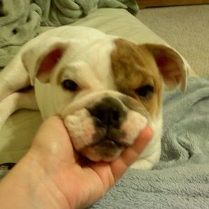 Meet your Posher, Maria