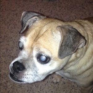 Meet your Posher, Aimee