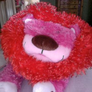 Meet your Posher, Aurora