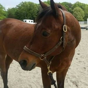 Meet your Posher, Jen