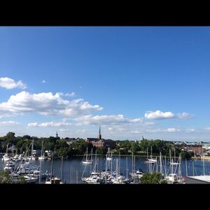 Meet your Posher, Gina