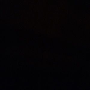 Meet your Posher, Lydia