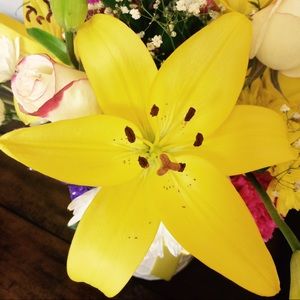 Meet your Posher, Rebekah