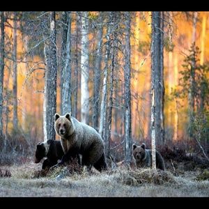 Meet your Posher, Charity