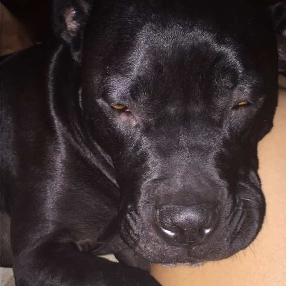 Meet your Posher, Natalie