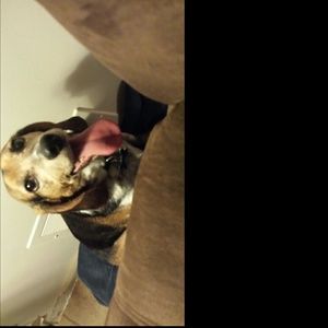 Meet your Posher, Christine