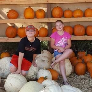 Meet your Posher, Dionne