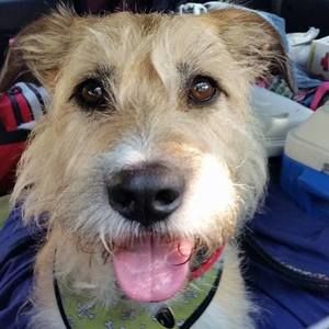 Meet your Posher, Lee