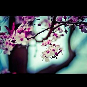 Meet your Posher, Isis