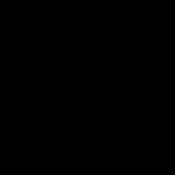 Meet your Posher, Rachael - Picture 1 of 1