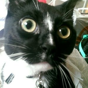 Meet your Posher, Michaela