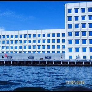 Meet your Posher, Cecilia