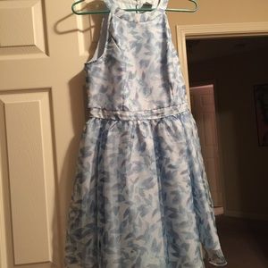 Short, adult Cinderella dress