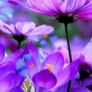 Meet your Posher, Maite