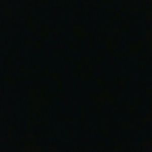 Meet your Posher, Judy