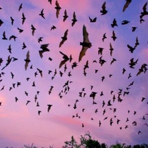 Meet your Posher, Karissa