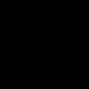 Meet your Posher, Keek