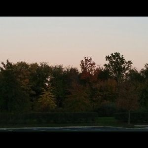 Meet your Posher, Dennisse