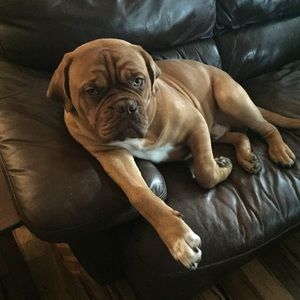 Meet your Posher, Kim