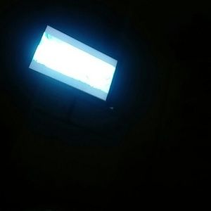 Meet your Posher, Lidia