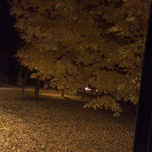 Meet your Posher, Paige - Picture 1 of 1