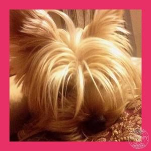 Meet your Posher, Becky