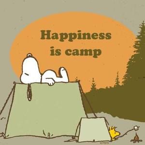 Meet your Posher, Mandy