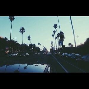 Meet your Posher, Layla