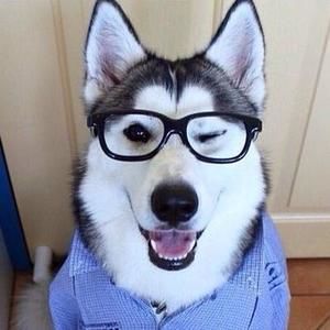 Meet your Posher, Sabrina